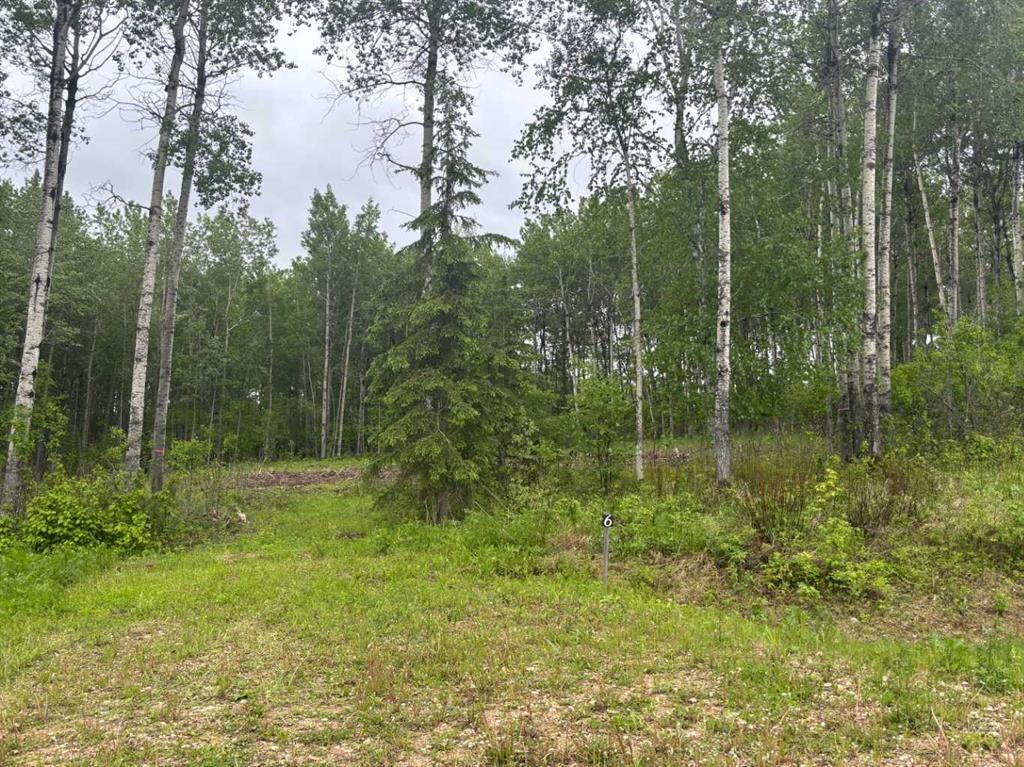 Picture for #6, 660023 Range Road 224  