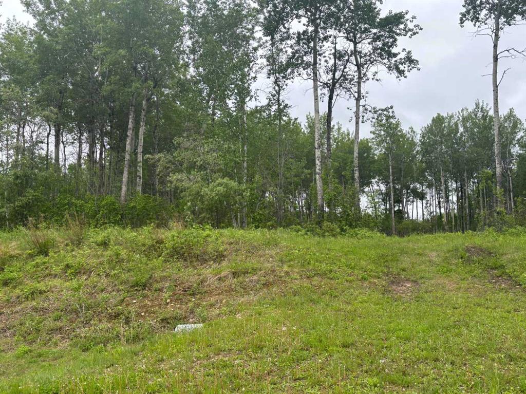 Picture for #5, 660023 Range Road 224  