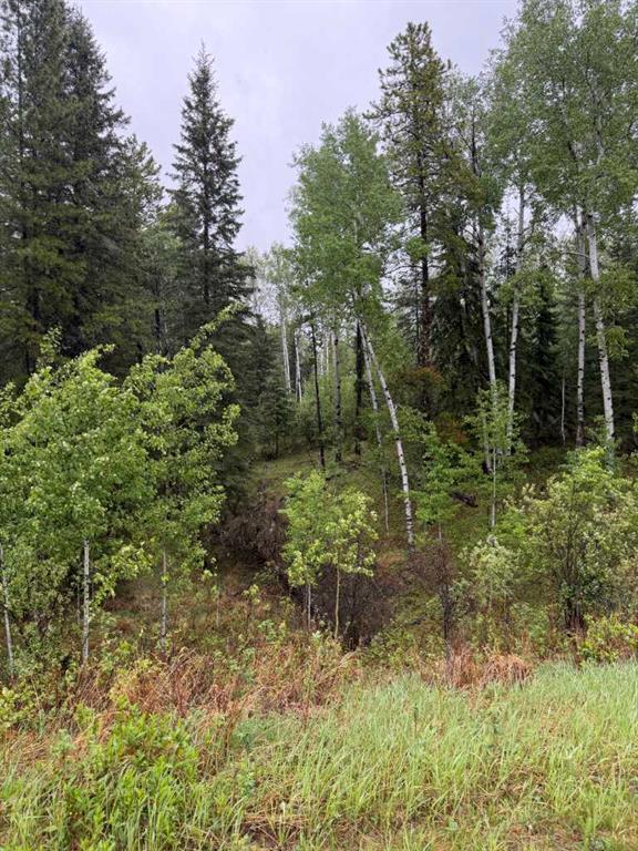 Picture for 514 CLEARWATER ESTATES Crescent 