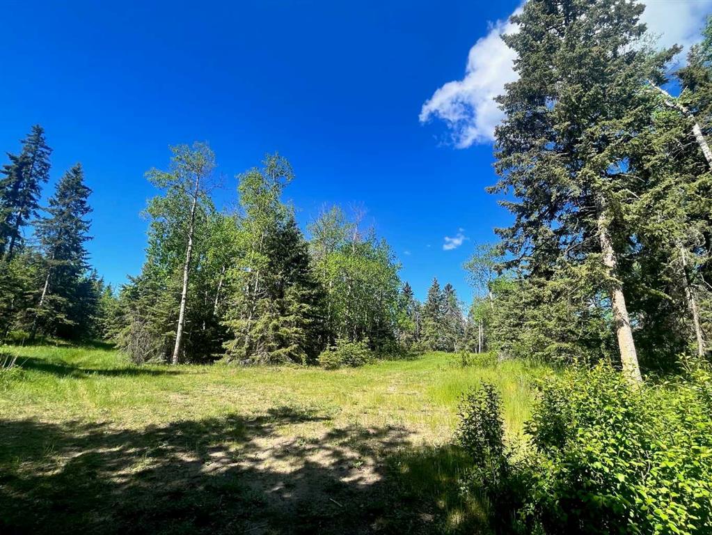 Picture for 13, 421022 Range Road 260  