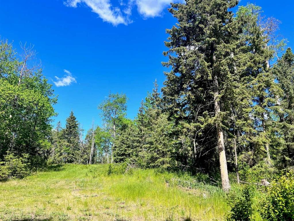Picture for 13, 421022 Range Road 260  
