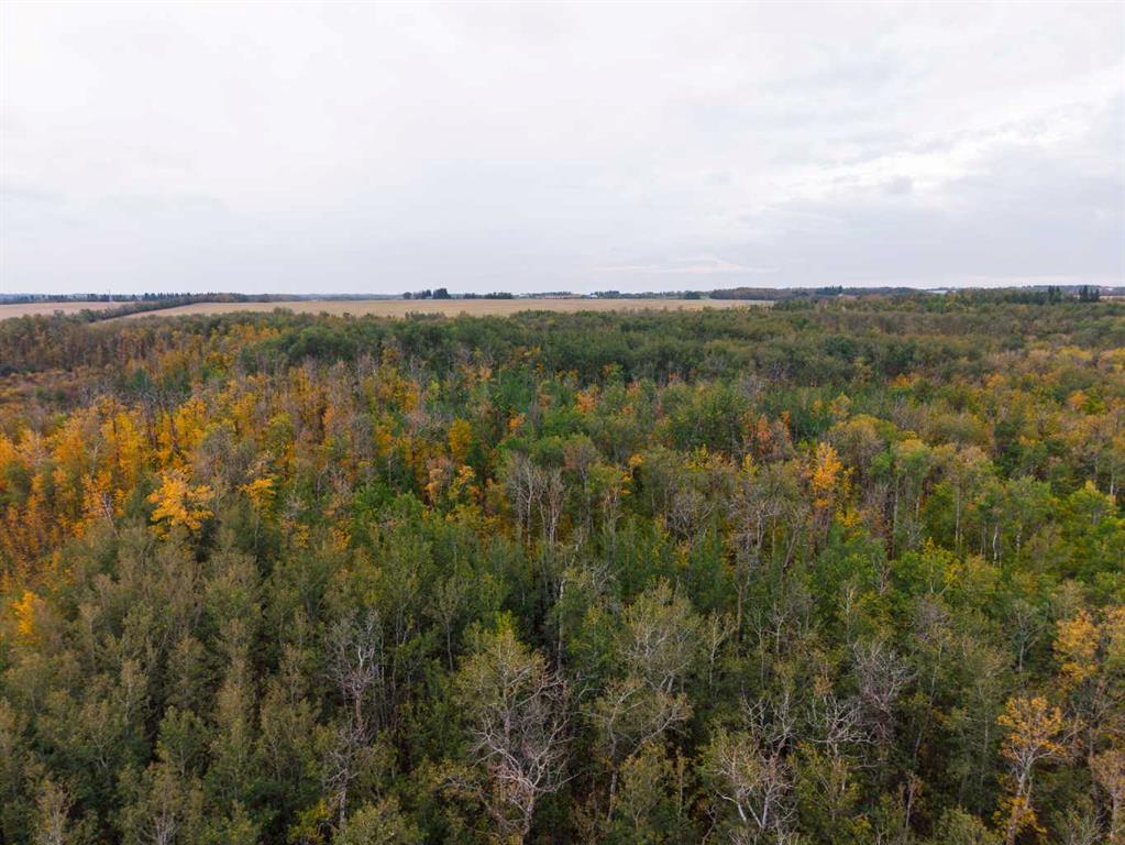 Picture for  On Range Road 20  