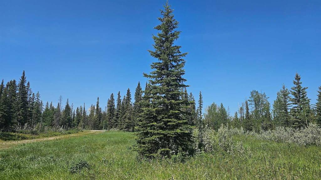 Picture for 20, 34364 Range Road 42  