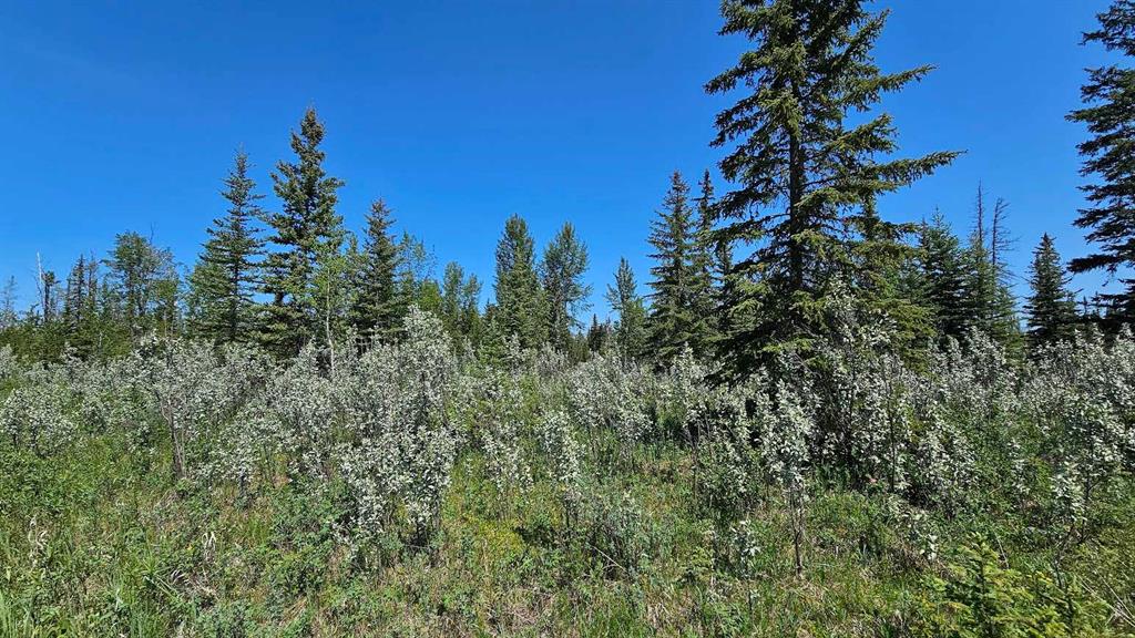 Picture for 20, 34364 Range Road 42  