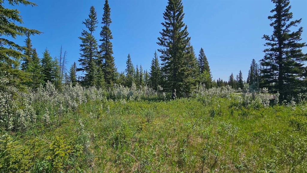 Picture for 20, 34364 Range Road 42  