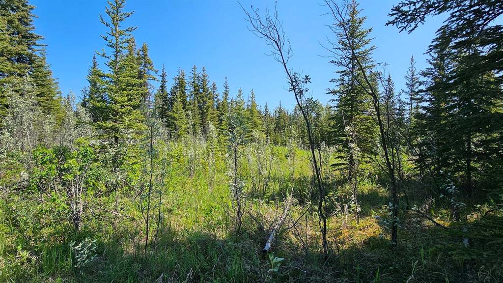 Picture for 4, 34364 Range Road 42  