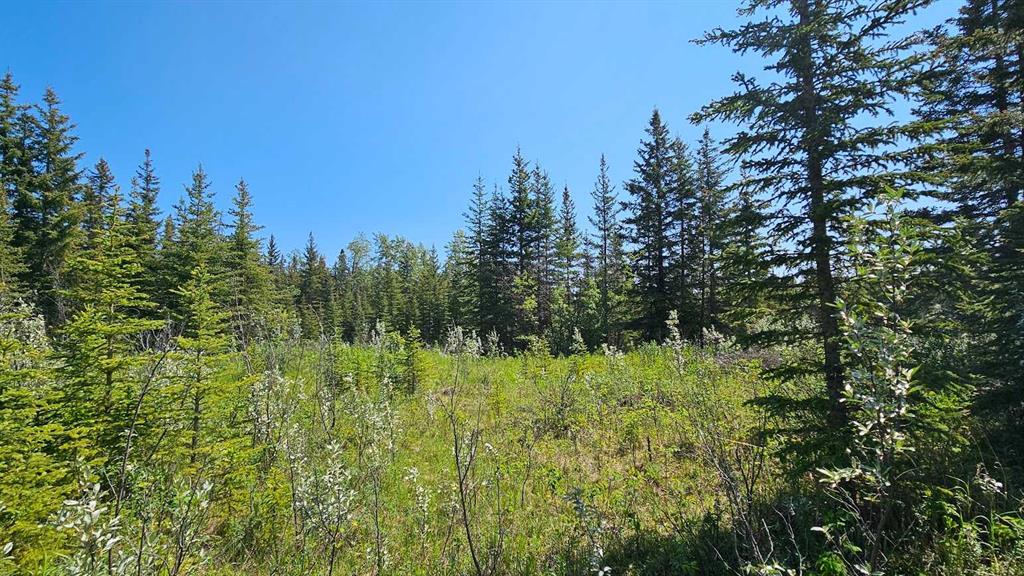 Picture for 4, 34364 Range Road 42  