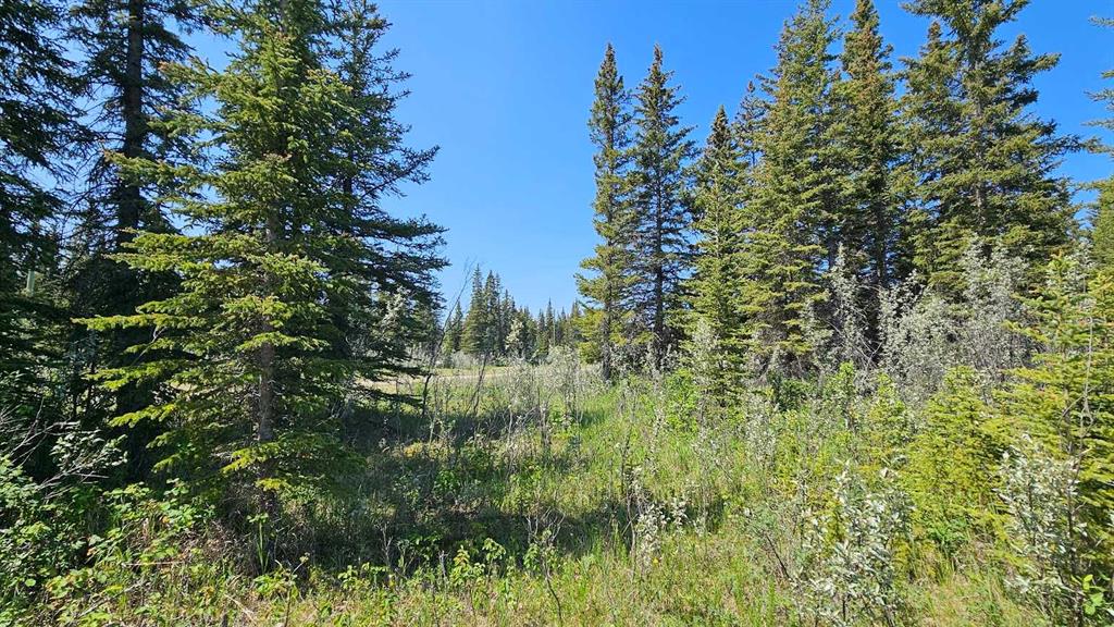 Picture for 4, 34364 Range Road 42  