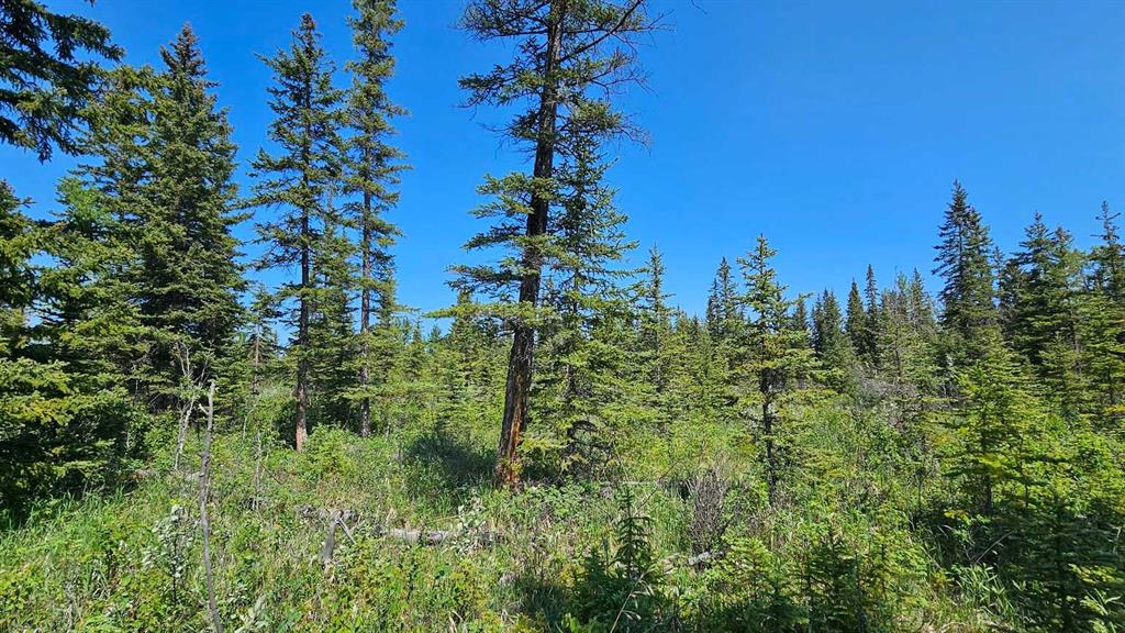 Picture for 12, 34364 Range Road 42  