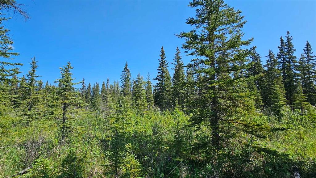 Picture for 12, 34364 Range Road 42  