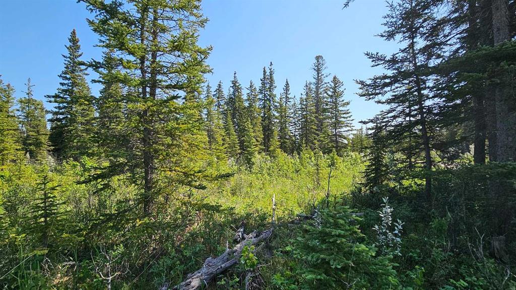 Picture for 12, 34364 Range Road 42  