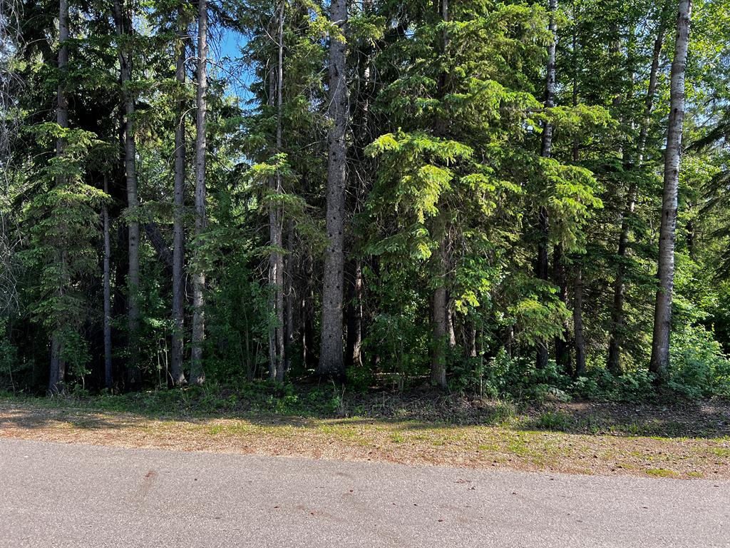 Picture for 128B, 10032 Township Road 422  