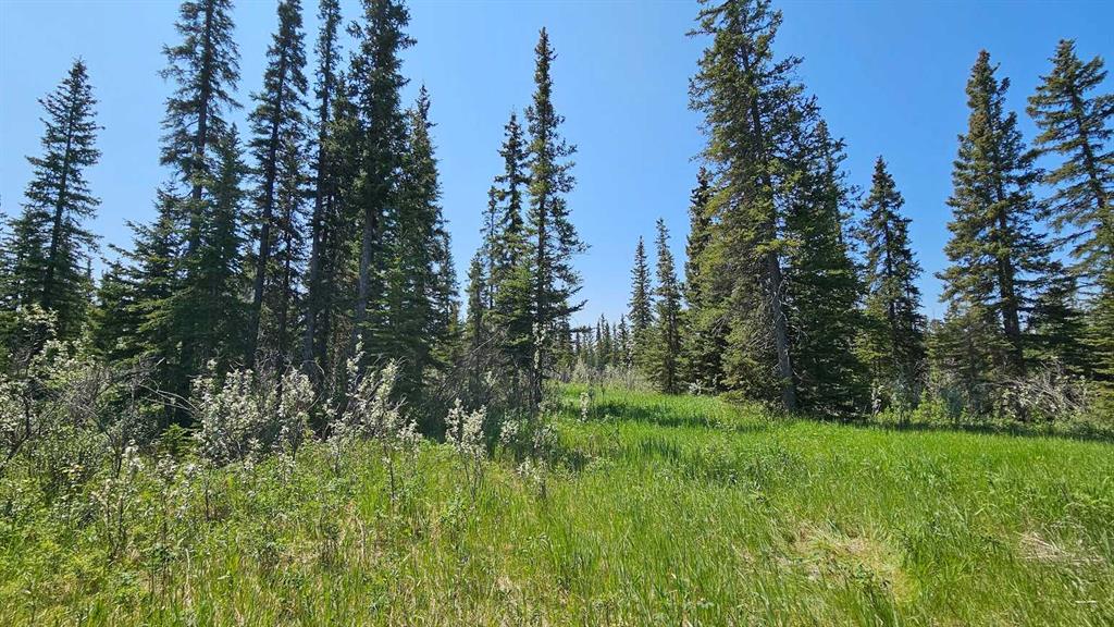 Picture for 19, 34364 Range Road 42  