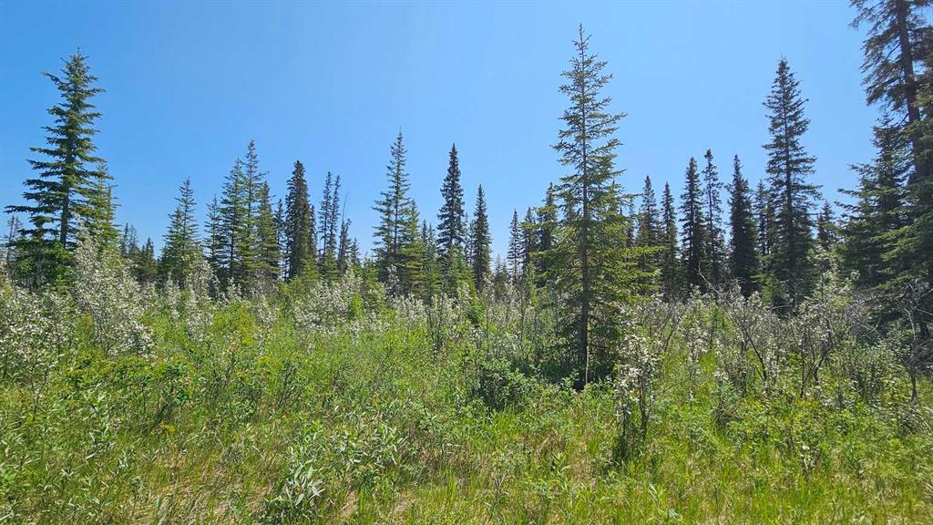 Picture for 19, 34364 Range Road 42  