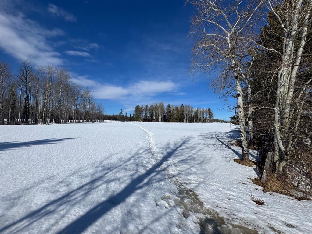 Picture for 414006 Range Road 6-3  