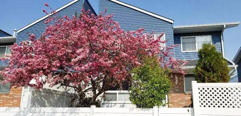 Picture for 46, 4769 Hubalta Road SE