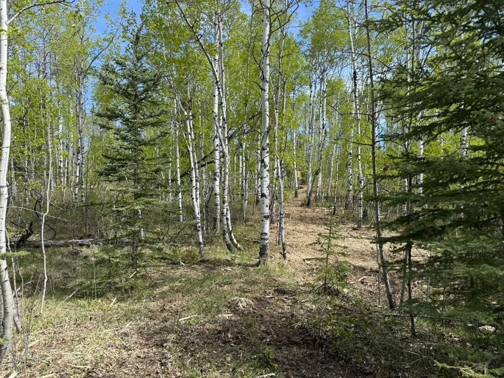 Picture for 40, 29066 Range Road 52  