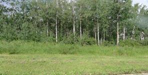 Picture for 122 Wolf Run Drive  