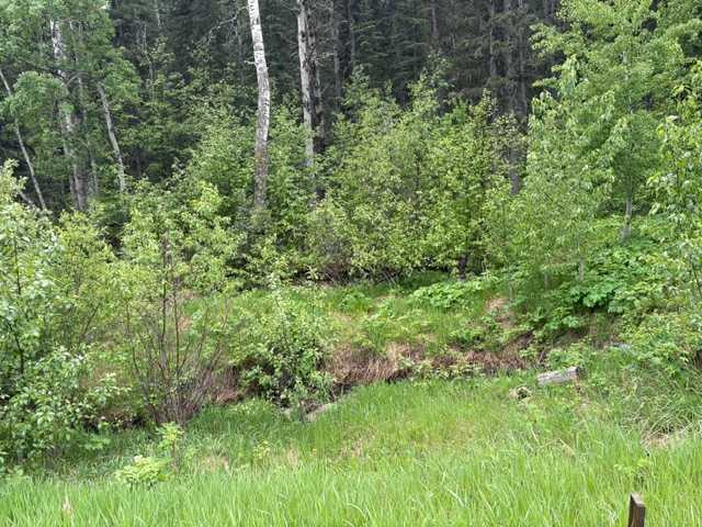 Picture for 229 Mountain Lion Drive 