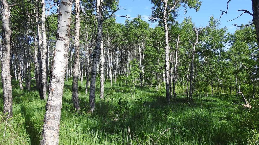Picture for  79.41 Acres SE-13-22-3W5  