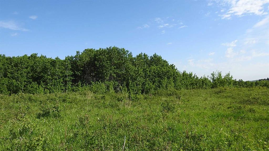 Picture for  79.41 Acres SE-13-22-3W5  