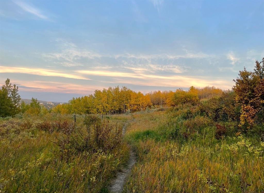 Picture for 270 Cougar Ridge Drive SW