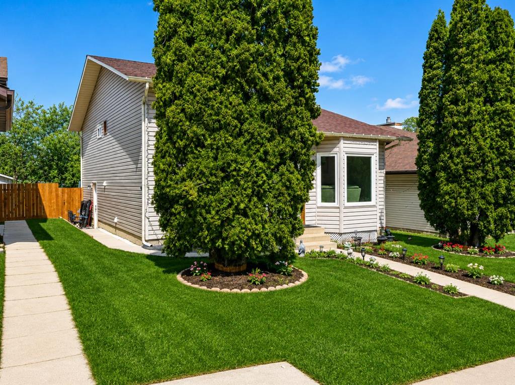 Picture for 203 Shawglen Road SW