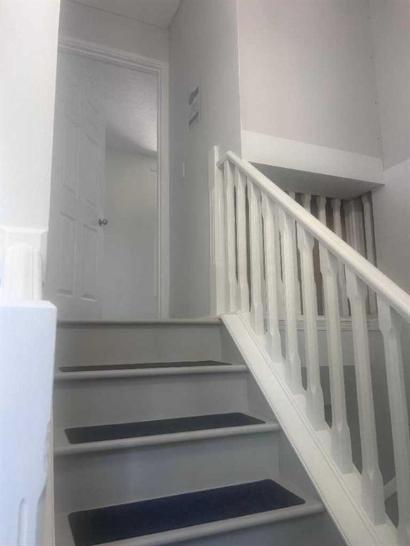 Picture for 43 Taraglen Road NE