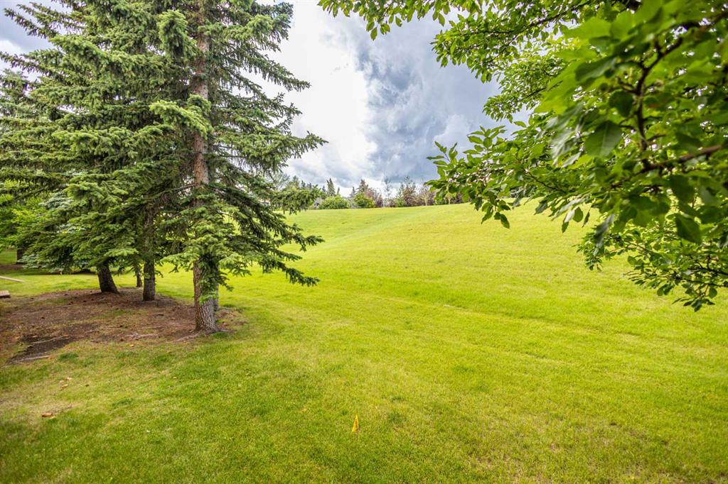 Picture for 17 Patina Park SW