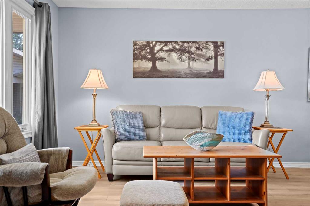 Picture for 147 Manora Hill NE