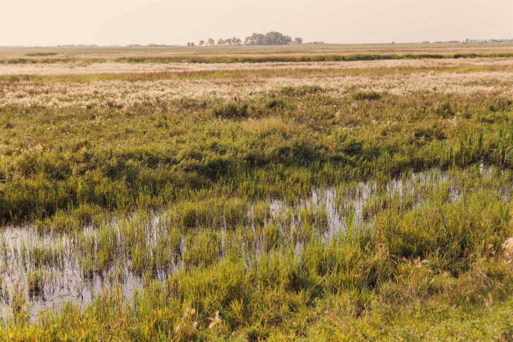 Picture for Parcel 8 Range Road 271 just south of Highway 9.  