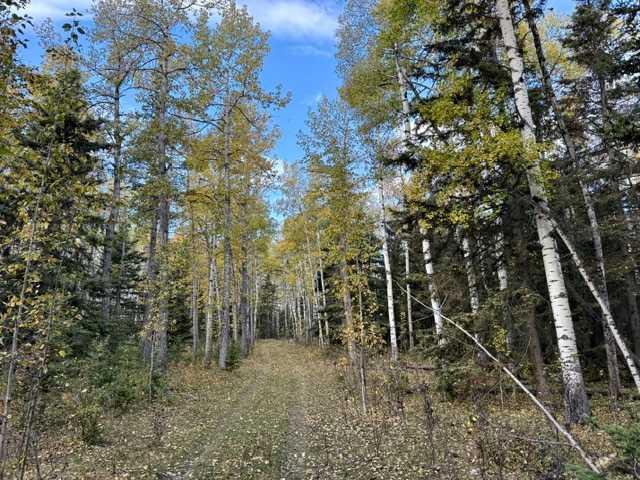 Picture for 32310 Range Road 45  