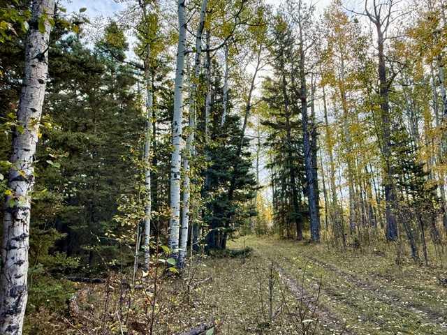 Picture for 32310 Range Road 45  