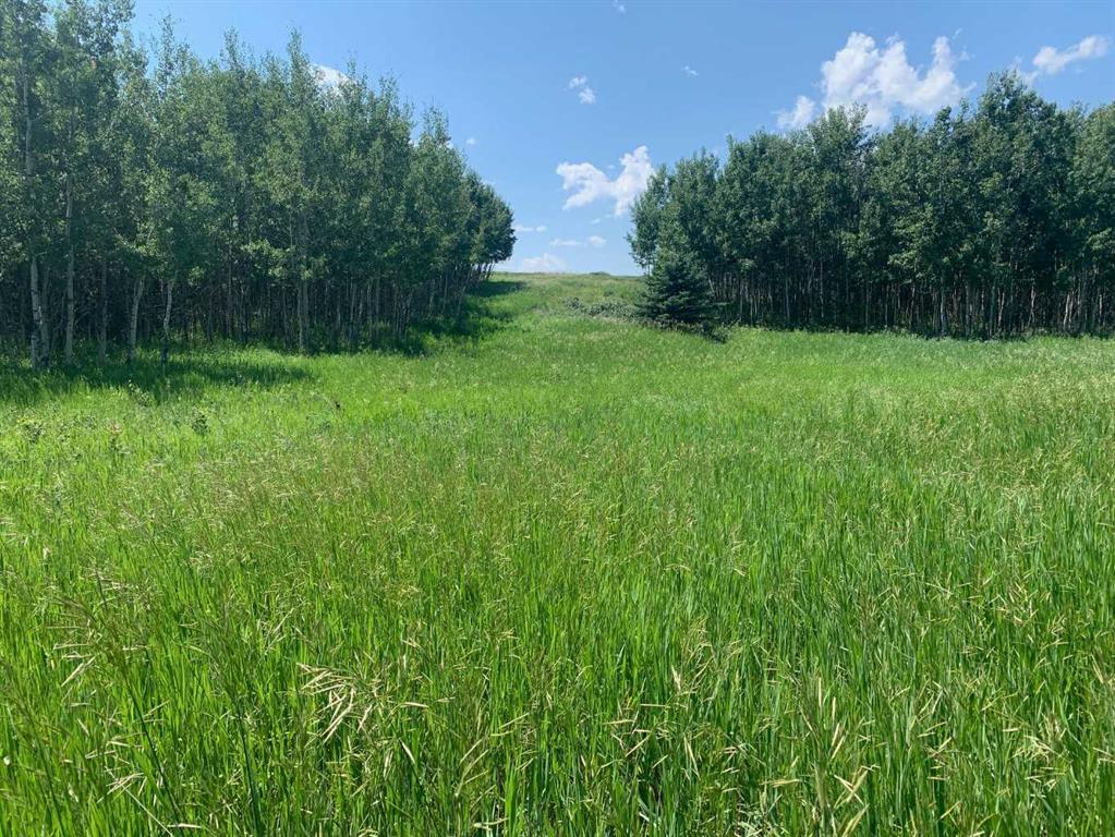 Picture for 75.50 Acres North Springbank  5;3;25;28;SE  