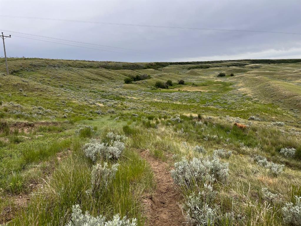 Picture for  NE, NW 27 20 1 W4, All Sec 28 20 1 W4, SE 29&amp;SE 34  