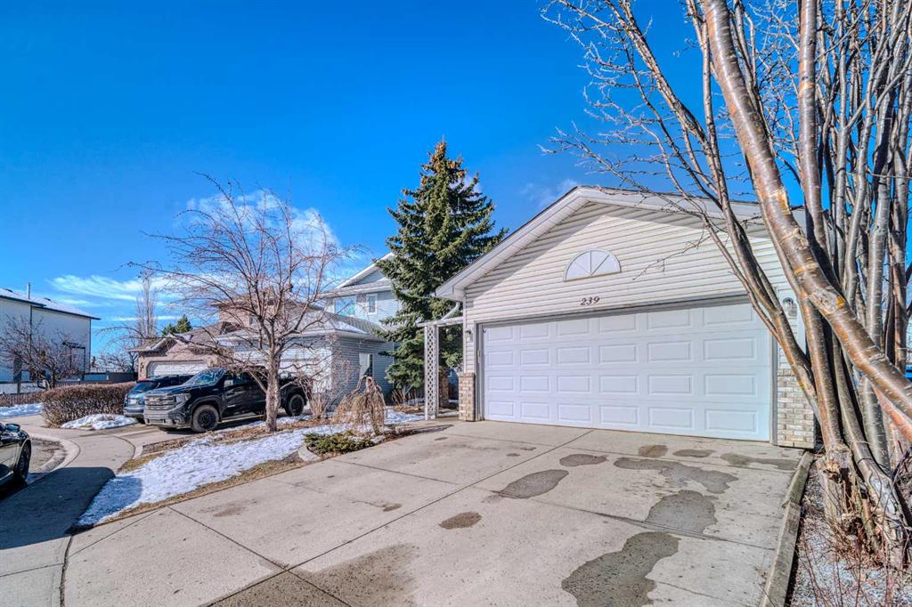 Picture for 239 Arbour Wood Close NW