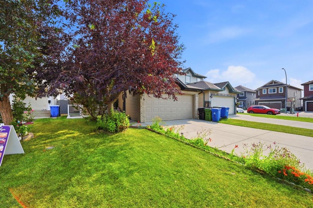 Picture for 54 Saddlecreek Crescent NE