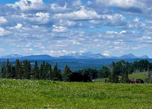 Picture for 10, 33139 Range Road 55  