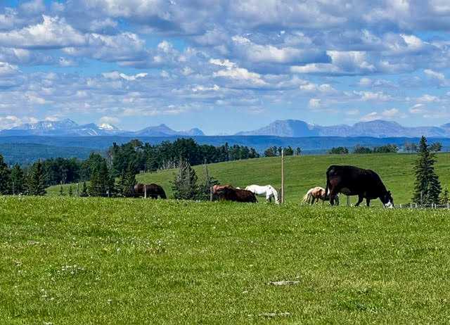 Picture for 10, 33139 Range Road 55  