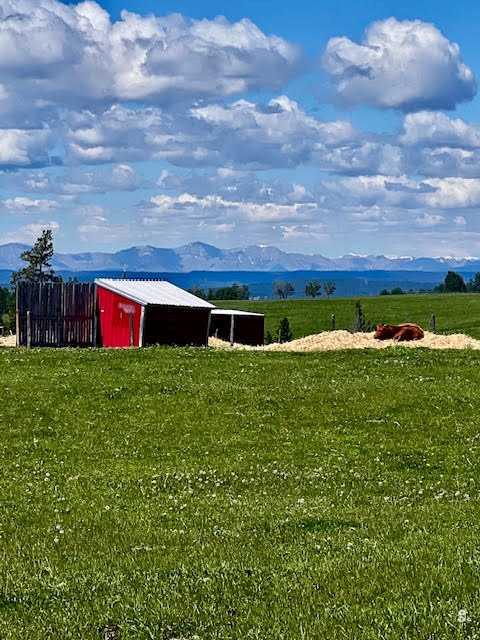 Picture for 10, 33139 Range Road 55  