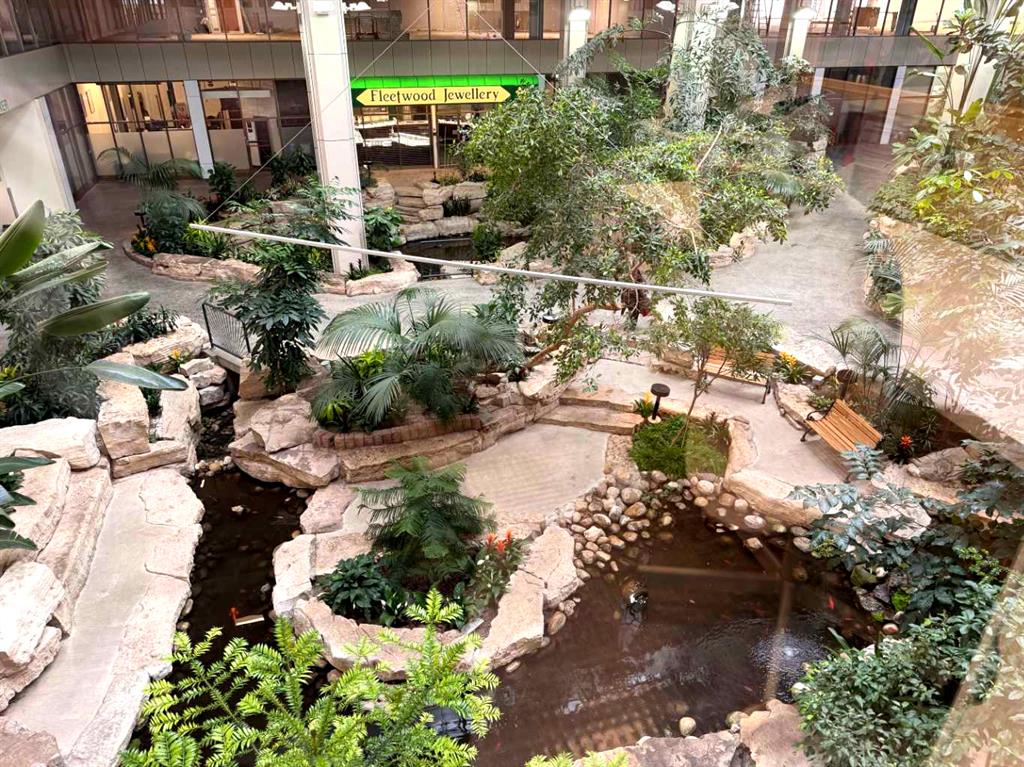Picture for 206E, 8500 Macleod Trail SE