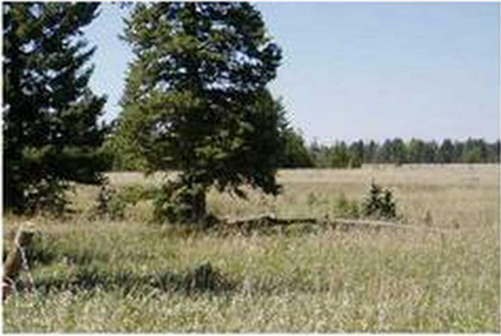 Picture for  Range Road 55  