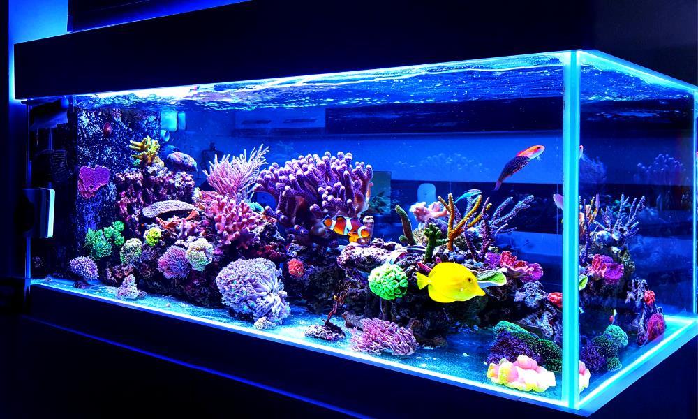 Picture for 123 Fish Store Avenue NW