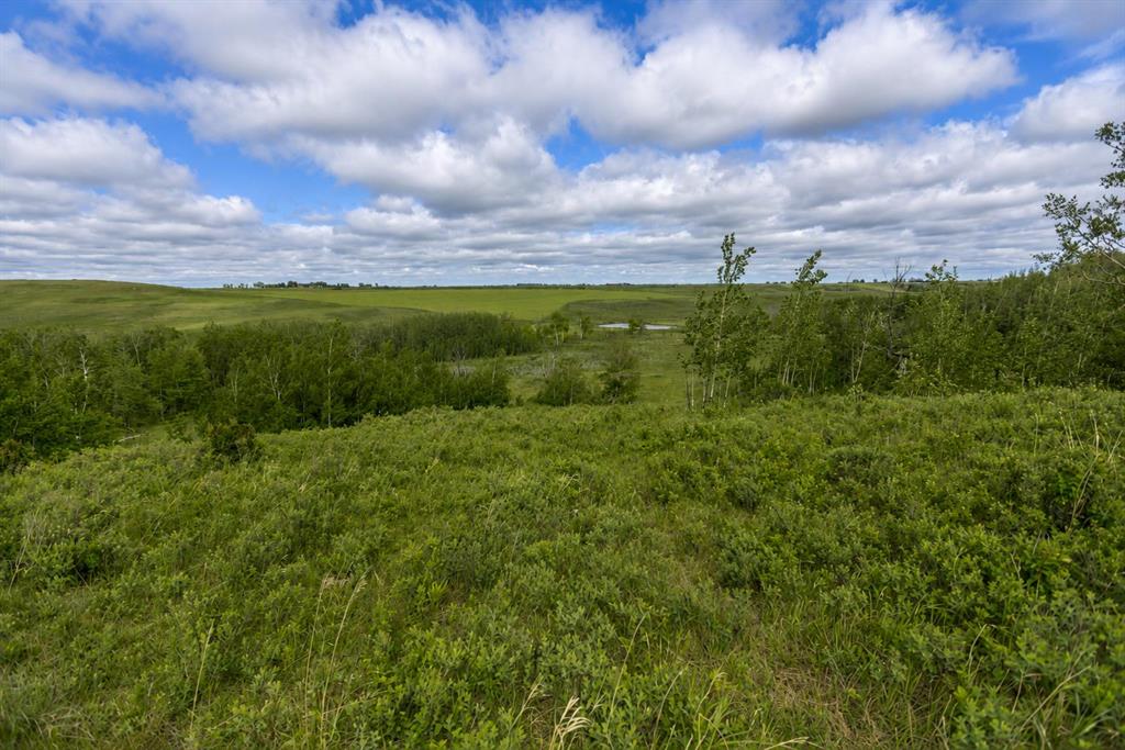 Picture for 16, 30480 Range Road 12  