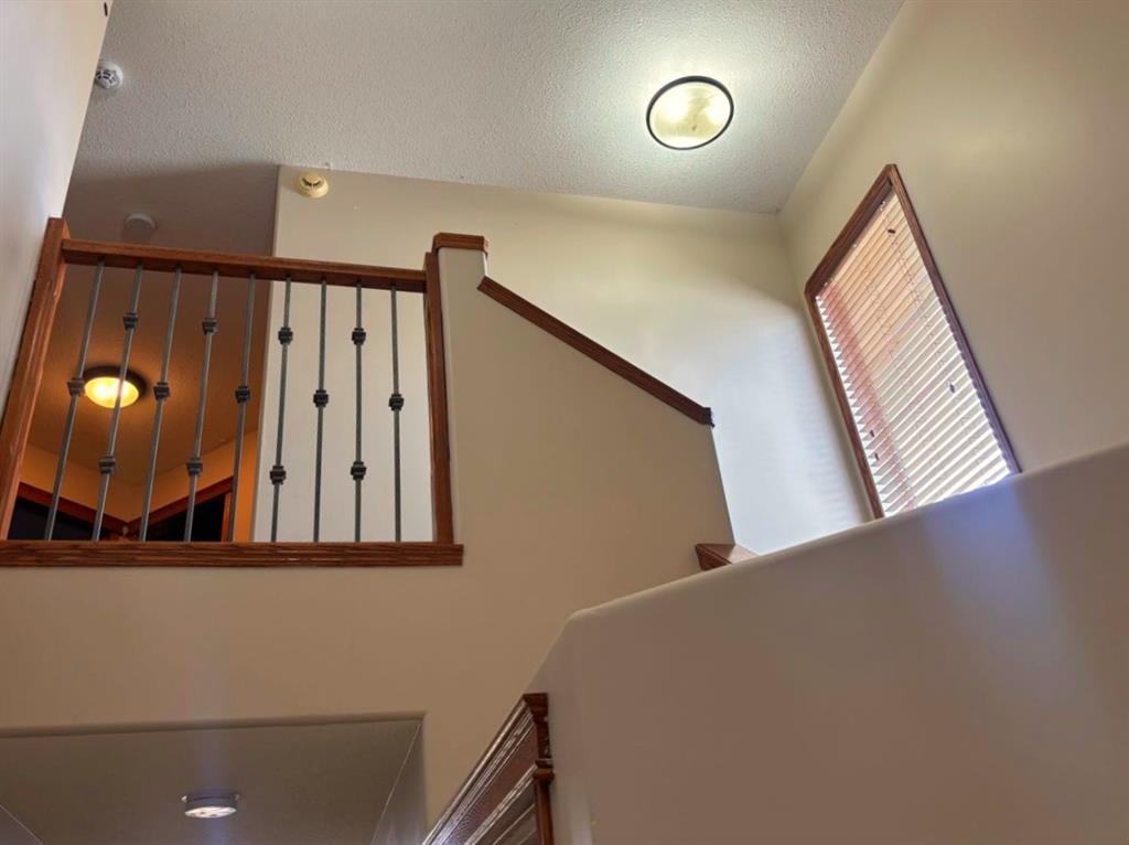 Picture for 11 Northlands Crescent NE